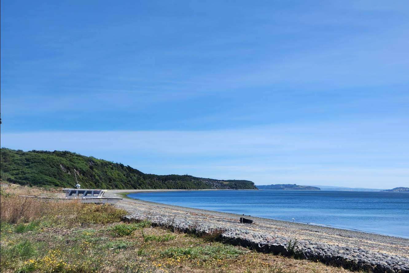 Innovación y naturaleza, redefiniendo el mercado de parcelas en el sur de Chile con Latitudes Australes