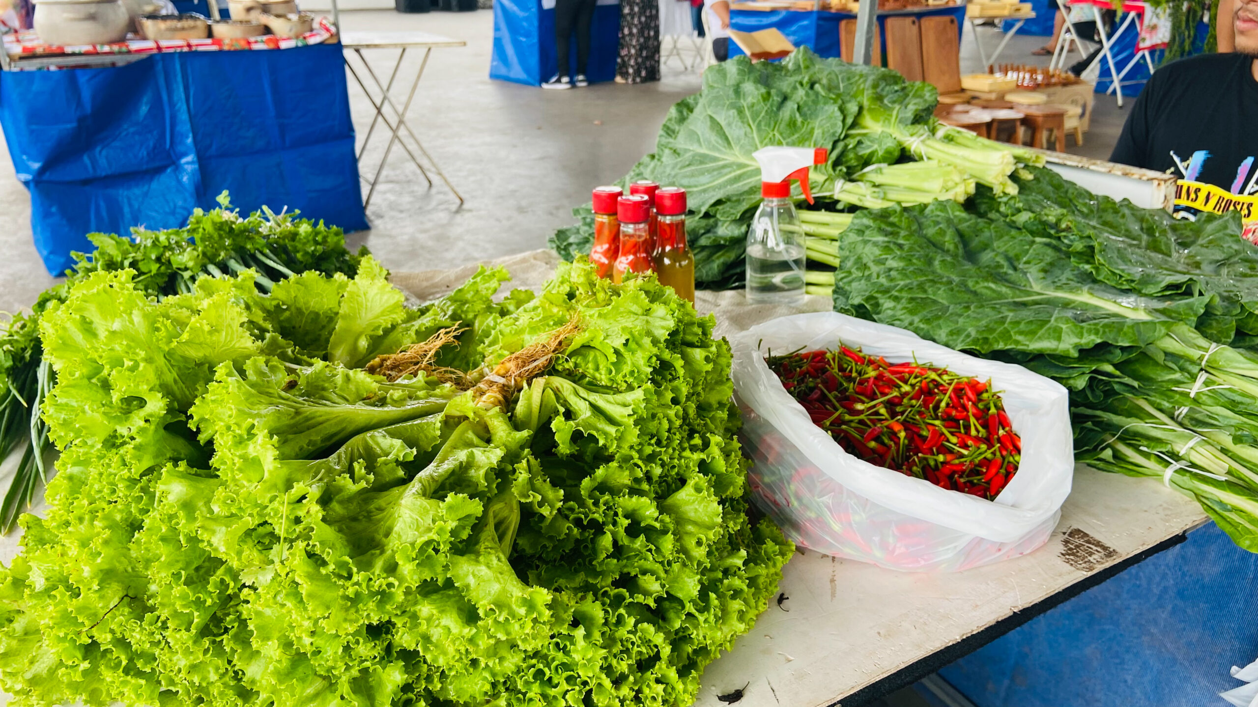 Feira de Agricultura e Arte movimenta economia local em Macapá – Prefeitura Municipal de Macapá