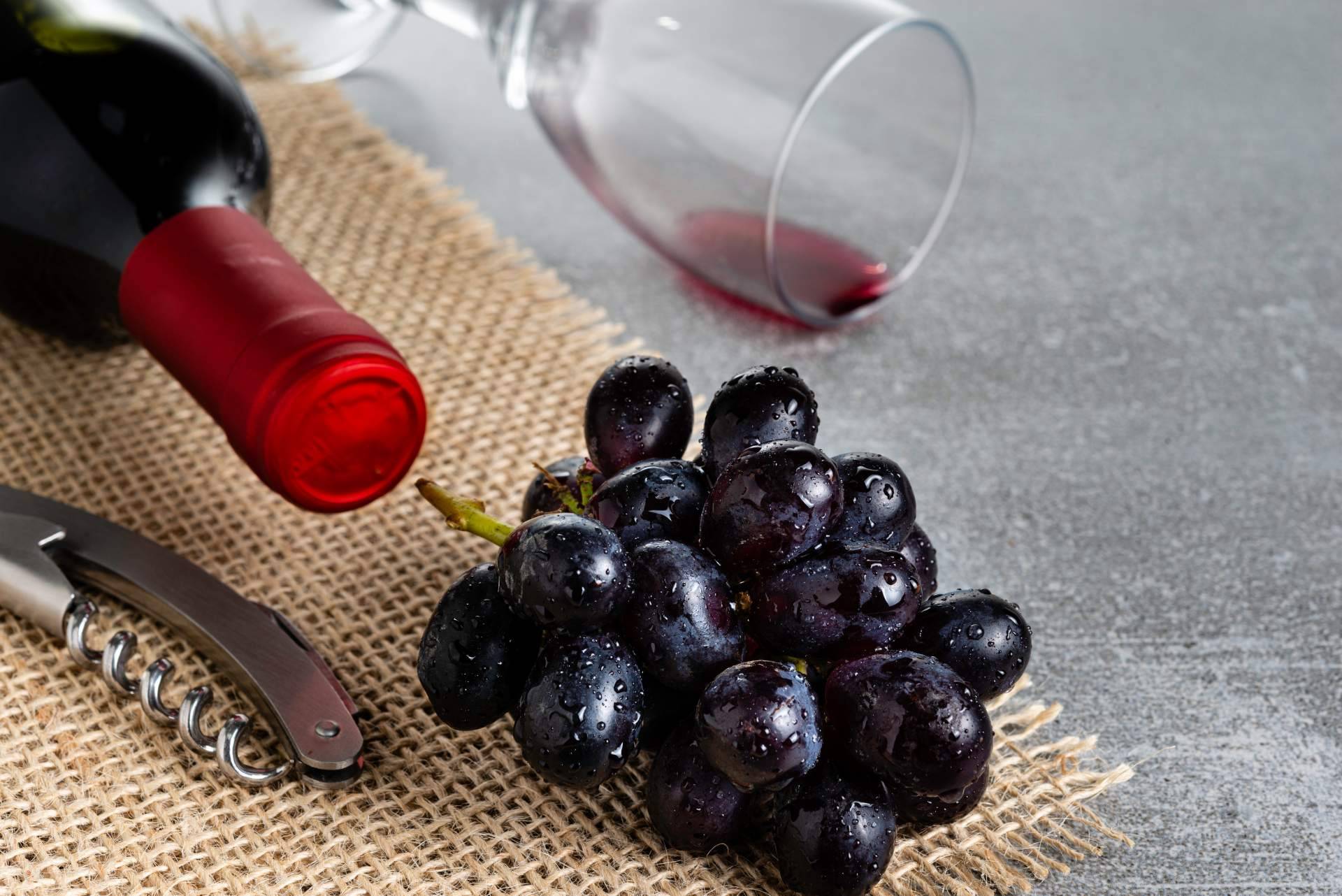 Que são taninos e por que são tão importantes para os vinhos?
