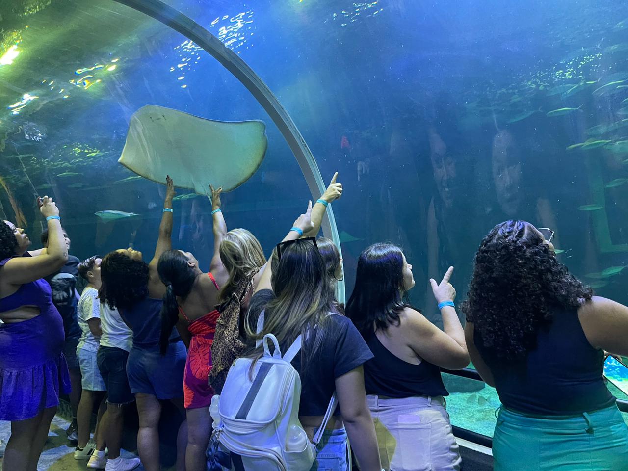 Prefeitura do Rio promove visita ao AquaRio com moradores da comunidade Dois Irmãos, em Curicica - Prefeitura da Cidade do Rio de Janeiro