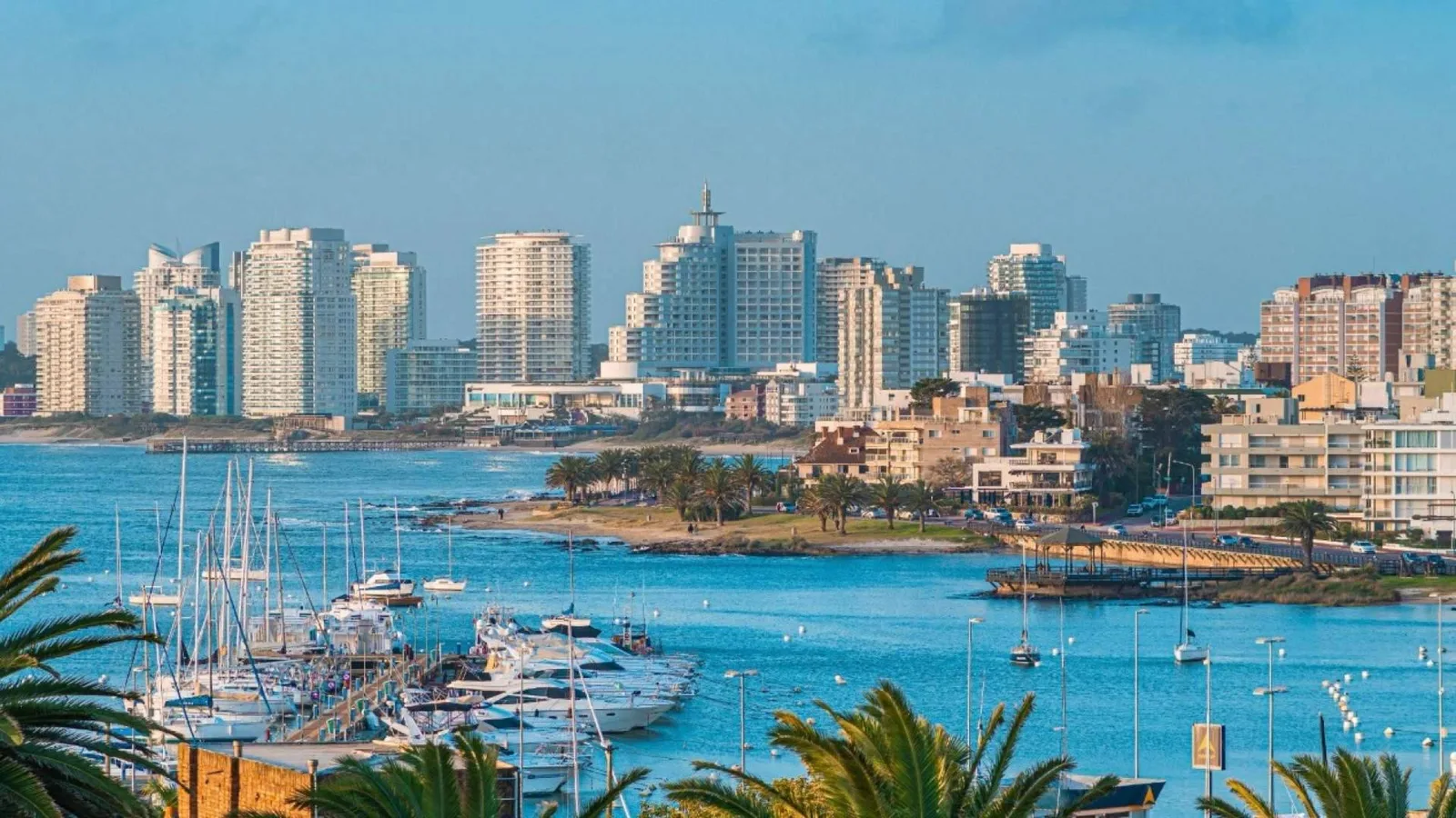 Novo regime de residência fiscal do Uruguai reposiciona a compra de imóveis rurais entre investidores brasileiros